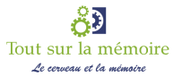 logo Tout sur la mémoire